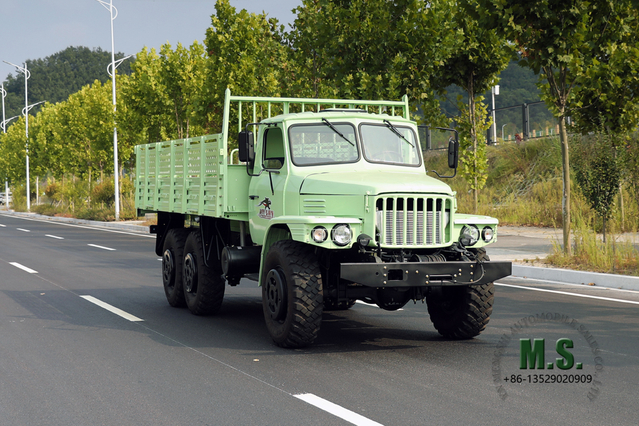 Verde menta 190hp Dongfeng Camión todoterreno con tracción en seis ruedas EQ2100 Vehículo de transporte con tracción total y cabeza puntiaguda de una hilera Vehículo de exportación para fines especiales