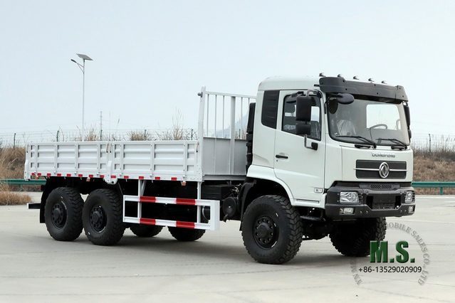 Dongfeng Camión todoterreno 6*6 Camión especial de exportación de vehículos de carga todoterreno forestales de 260 caballos de fuerza