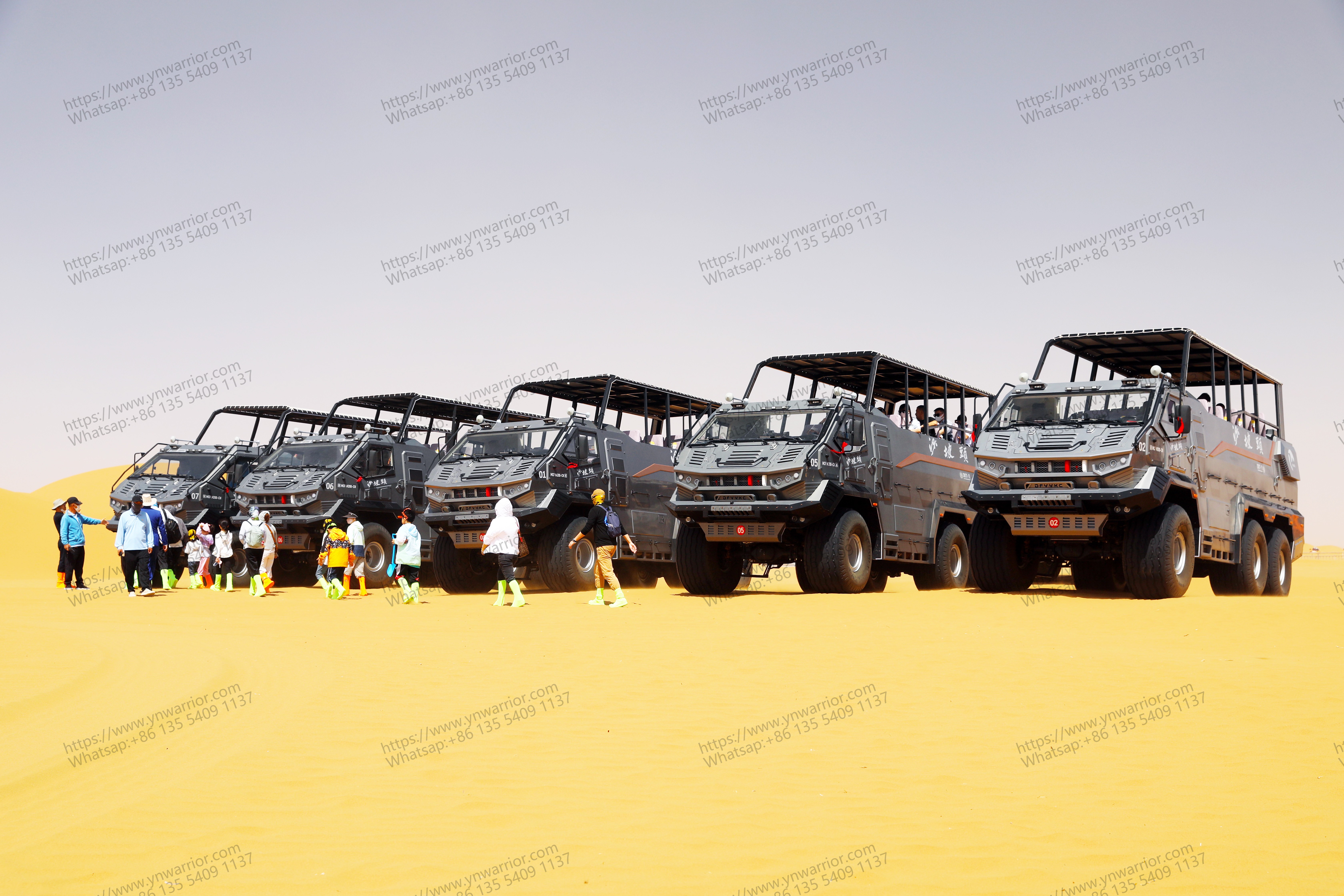 Flota de cruceros del desierto tan genial en el desierto Turismo 