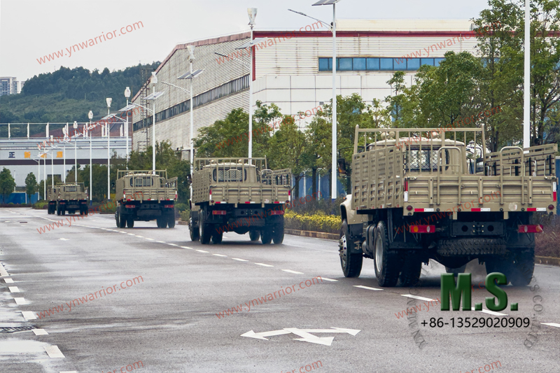 Dongfeng Neumático doble trasero de camión 4x4_prueba de alta velocidad 