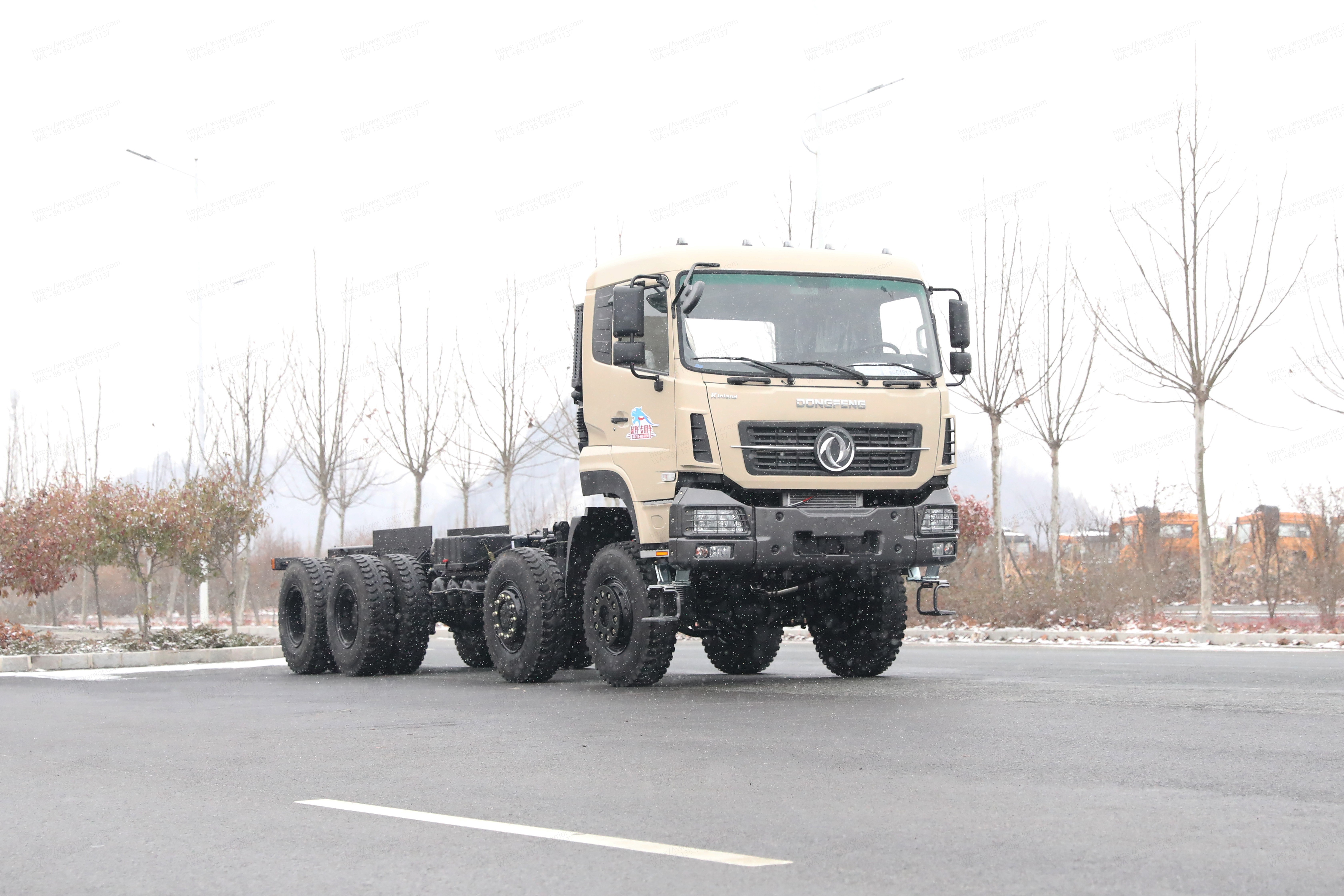 Chino Dongfeng 8x8 chasis de camión 