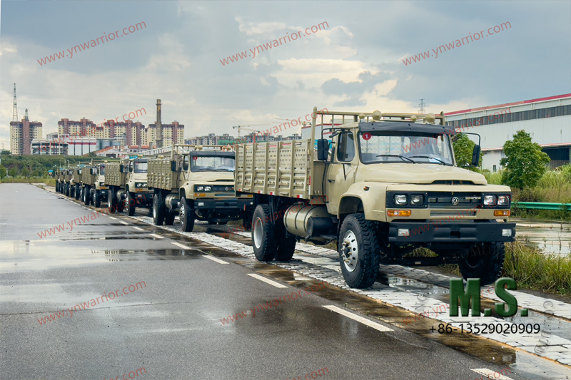 Dongfeng Neumático doble trasero de camión 4x4_prueba de cruce de carretera con rocas 