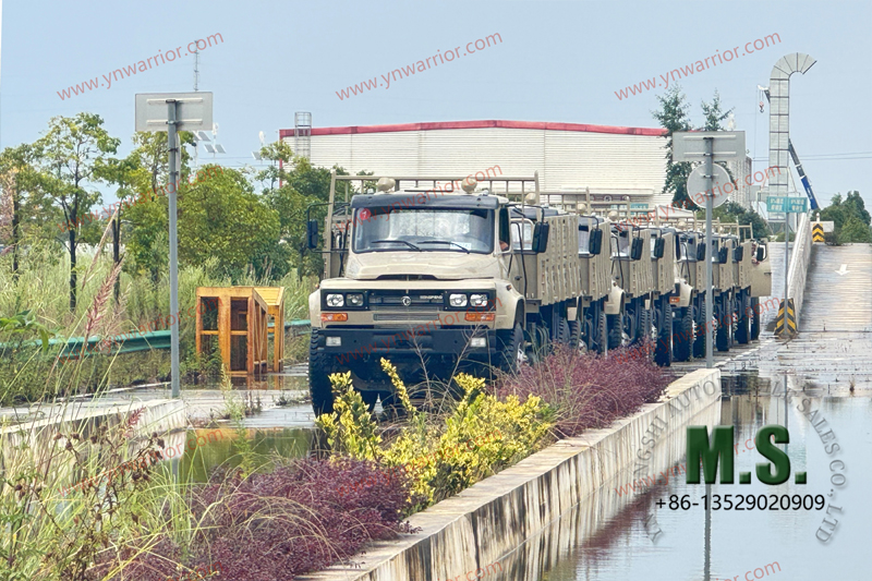 Dongfeng Neumático doble trasero de camión 4x4_fleet 