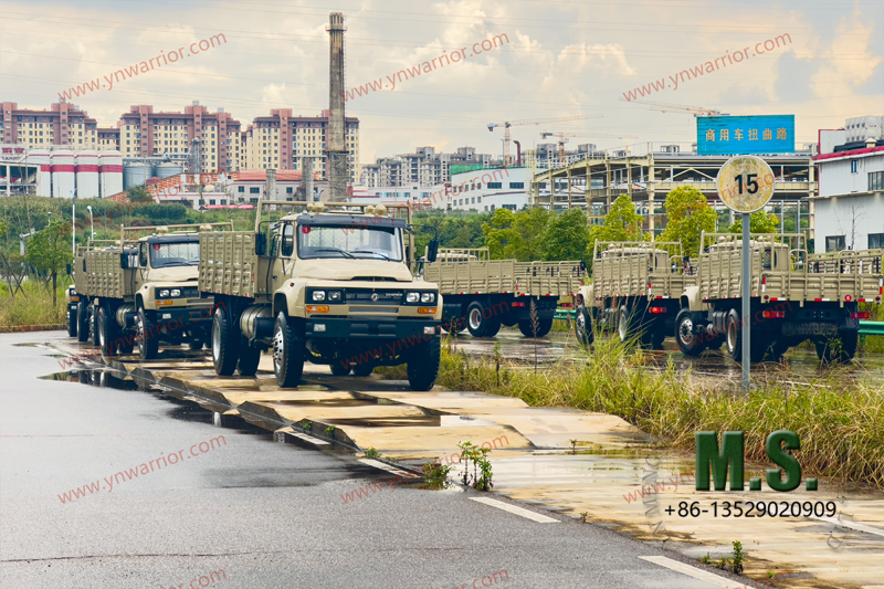 Dongfeng Neumático doble trasero de camión 4x4_prueba en carretera desinflada 