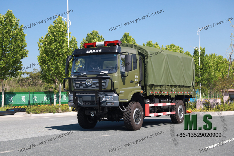 Dongfeng 4x4 Camión de carga metraje real 