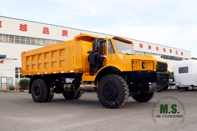 Minería de 16 toneladas usando Truck_4*2 Mining Vehicle_Dump Truck para la venta